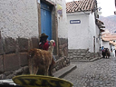 peru cuzco (61)