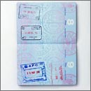 Travel and Visa Services